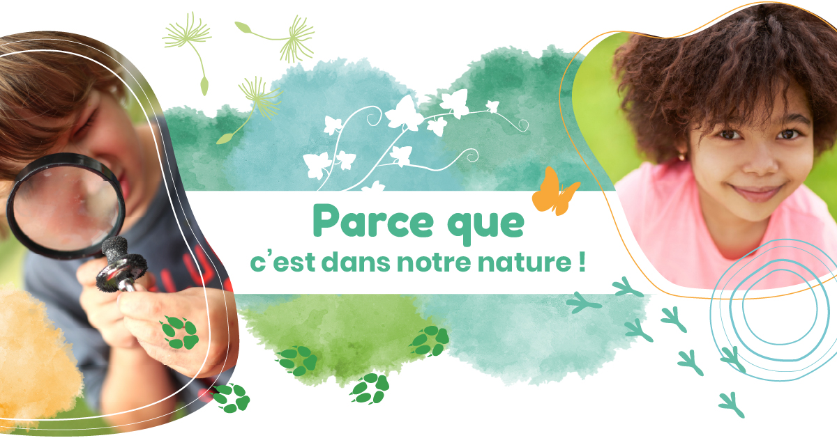 Vignette Êtres VIvants